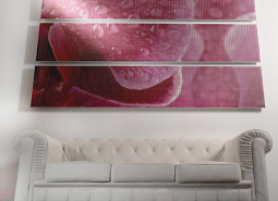 משפצים ומחדשים